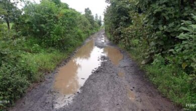 Photo of कापसी कोपरीचा रस्ता खड्डयात की रस्त्यात खड्डे