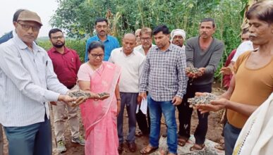 Photo of नुकसानग्रस्त पान पिंपरी औषधी पिकाची शेतावर जाऊन तहसीलदार यांनी केली पाहणी 