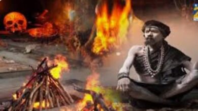 Photo of पुरोगामी महाराष्ट्राला हादरवून टाकणारी घटना , महिलेच्या अंगात ठोकले खिळे