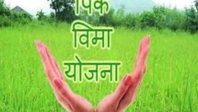 Photo of १५ जुलै पूर्वी पिक विमा नोंदवून घ्यावा तहसीलदार समाधान सोनवणे यांचे आवाहन