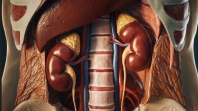 Photo of रोशन कुडे याचा गौप्यस्पोट किडनी स्पॅम मध्ये आणखी पाच तरुणांचा समावेश 