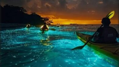 Photo of समुद्रात पडल्यावर तो चार दिवसांनी घरी परतला पण कुटुंबियांना वाटले तो भूत ?  …..