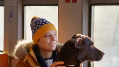 Photo of कुत्रा दाखवण्याचा बहाण्याने घरी बोलावत केला अत्याचार