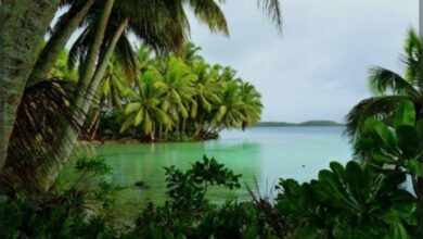 Photo of तो आठ वर्ष निर्जन बेटावर जगला कच्चा मांस खाऊन 