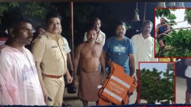 Photo of सात तास होता तो झाडावर अडकून, खाली पाण्याचा प्रवाह तर झाडावर विषारी साप