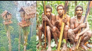 Photo of बापरे…. जमिनीपासून ६० फूट उंचीवर घरे बांधून राहते ही आदिवासी जमात