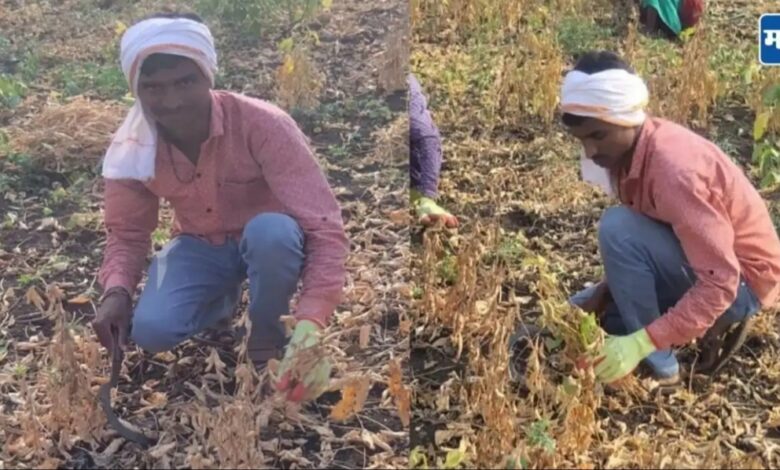 Photo of NEET परीक्षा केली उत्तीर्ण पण प्रवेशासाठी पैसेच नाहीत