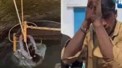 Photo of पत्नीची विहिरीत उडी, नवऱ्याची बाहेर येण्यासाठी शरणागती